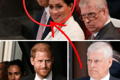 30 MINUTES AGO: Prince Harry and Meghan Markle GIVEN A Dreadful Warning After Prince Andrew’s Banishment — “YOU COULD BE NEXT!”