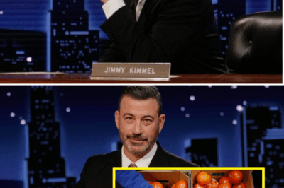 UPDATE: Jimmy Kimmel Turns ‘Jimmy Kimmel Live!’ Into FOOD DONATION HUB Amid SNAP Benefit Cuts — HEARTBREAKING Scenes Unfold