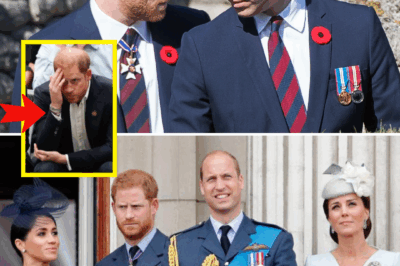 BREAKING TODAY: Prince Harry FINALLY Speaks Out About Mysterious Rift With Prince William — What He Revealed Has The Palace On EDGE