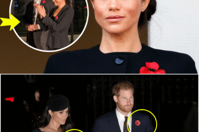 ROYAL OUTRAGE ERUPTS! Meghan Markle Sparks Fury Over ‘Disrespectful’ Poppy Choice at Remembrance Event