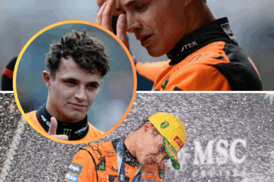 BREAKING NEW: Lando Norris SN4PS at Reporter in Fiery Brazilian GP Clash — “I Can Say Whatever I Want!”