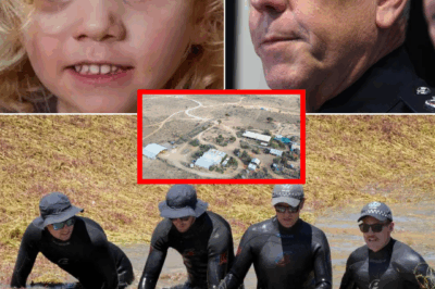 AUSTRALIA IN SH0:CK! SA Police Commissioner Grant Stevens Drops B0MBHELL — Fourth Search for Missing Teen Gus Lamont Now “On the Table” 🇦🇺