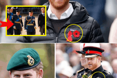 ROYAL BOMBSHELL 💥 Prince Harry STUNS Fans With Surprise Video Appearance Wearing His British Military Medals — “A Message the Palace Didn’t Expect…”