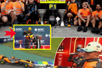 JUST IN: F1 Standings SHOCK After Brazil GP — Lando Norris WIDENS Gap Over Oscar Piastri!
