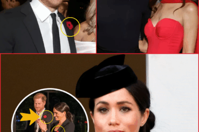 BREAKING NEW: Meghan Markle SPARKS Heated Debate Over Poppy Choice — Royals and Fans DIVIDED