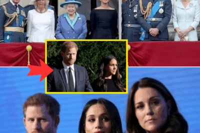 ROYAL SHOCKER! Prince Harry and Meghan Markle Allegedly Target ENTIRE Royal Family With One ‘Spiteful’ Act