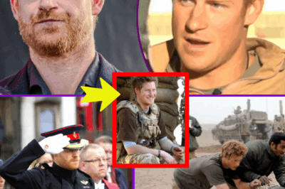 Prince Harry seen running out of interview during Afghanistan tour – Here’s what really happened