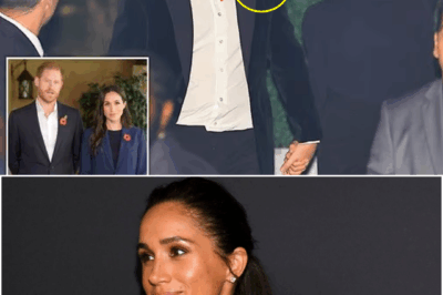 Meghan Markle blasted by fans who say she ‘should APOLOGISE’ for not wearing a poppy on Remembrance weekend — Outrage erupts online