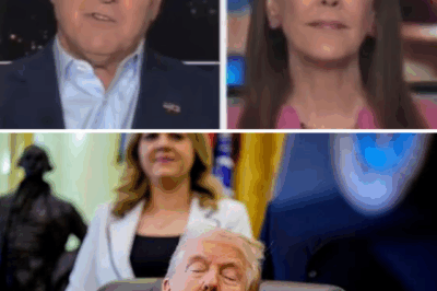 SHOCKING REVEAL! Agitated Fox News Host Sean Hannity Stumbles As Guest Drops Trump Bombshells