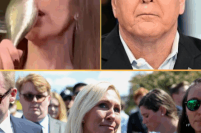 SH0:CKING: Fox News Guest Who Mocked Sean Hannity on Air Pops Champagne — Social Media EXPLODES