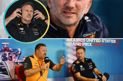 BRUTAL DRESSING DOWN! Christian Horner Skewered by F1 Team Boss — “He’s Changed” Shocks the Paddock