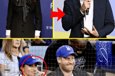 BRUTAL SHADE! TV Star Targets Prince Harry With Four-Word Remark — Fans Stunned