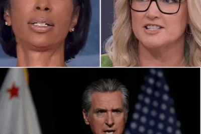 ON-AIR SHOWDOWN! Fox News Hosts Clash After Panelist Claims Gavin Newsom Is ‘Doing Something Very Smart’ — Tension Explodes