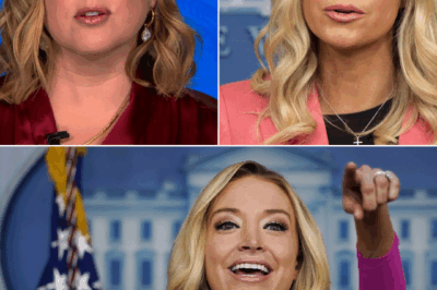 ON-AIR DRAMA! Gobsmacked Fox News Host Snaps at Kayleigh McEnany Over Trump Spin — Tension Erupts
