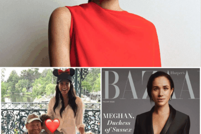 MEGHAN BREAKS HER SILENCE! Rare Comment on Royal Life After 7 Years — “You Find Different Ways to Protect Yourself”