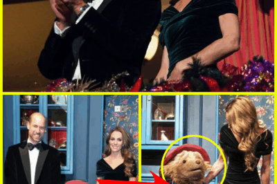 ROYAL MOMENT! Prince William & Kate Sneak Backstage for Private Peek at Tom Fletcher’s Giant Bear — Fans DELIGHTED