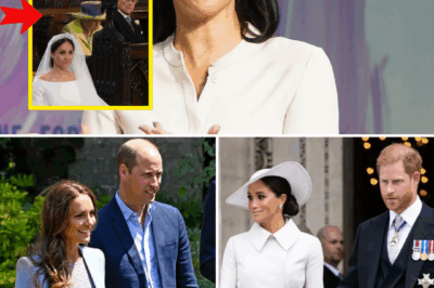 UH-OH! Meghan Markle ‘May Have Broken Royal Protocol’ With Baffling Ceremonial Welcome — Palace Whispering in Sh0:ck