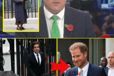 ROYAL LEGAL SHOCKER! Prince Harry’s Lawyers Return to High Court Ahead of Major 2026 Legal Battle — Fans STUNNED