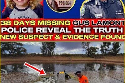 Sh0ck Twist in Missing Boy Case — Mysterious Message and Neighbor’s Confession Turn Investigation for 4-Year-Old Gus Lamont Upside Down