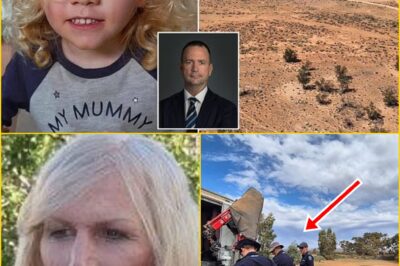“THE CLUE THEY MISSED!” – Australia’s Top Private Eye EXPOSES the Shocking Mistake That Could Have Changed Everything in the Search for Little Gus Lamont!
