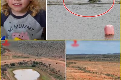 B0mbshell Twist in the Search for Missing Toddler Gus Lamont — Police Launch Sh0cking New Move After Weeks of Silence