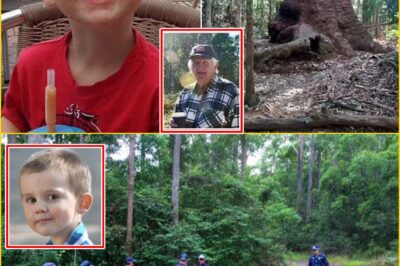 “HE WAS NEVER TAKEN FAR…” — Explosive New Claim About Where Missing Toddler William Tyrrell Could Be Bu-ried Sends Sh0ckwaves Through Australia