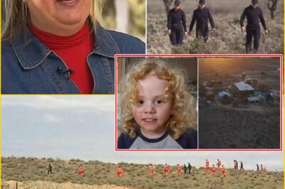 Gus Lamont Search Update: Expert Reveals Sh0cking Survival Odds — Locals Left Stunned!