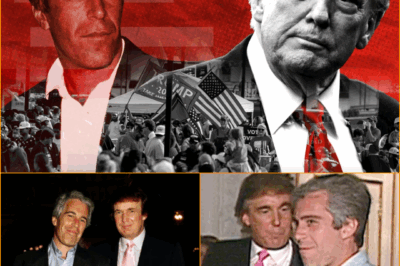 TRUMP PROMISES TO DROP THE TRUTH! — Says He’d Sign Bill to Release Epstein Files “If It Comes to Me”