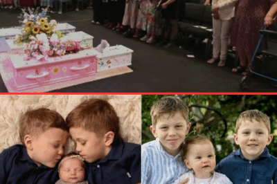 The Heartbreaking Plea of a Friend: A Farewell to August, Hugo, and Goldie, “If only I could use an ‘Uno Reverse Card’ to save you all!”