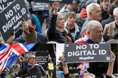 If you don’t do this, you will lose your job – Update now