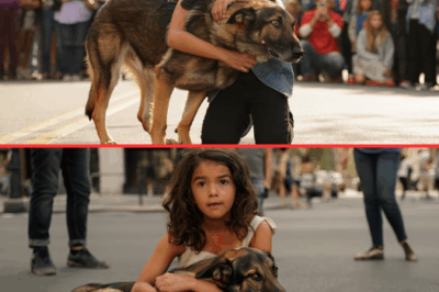 RESCUE DOG REUNION 10 YEARS LATER: The Emotional Burst That Brought an Entire City to Tears