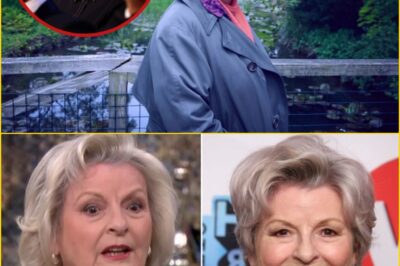 FROM DESK JOB TO STARDOM: Brenda Blethyn’s Raw Confession of Fear, Hope, and the Brave Step That Changed Her Life Forever