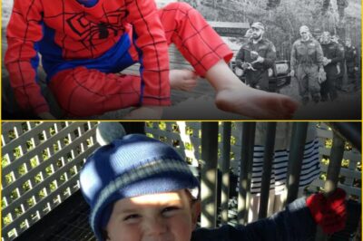 Spider-Man Boy Disappears, Mystery Lingers: Inside the Heartbreaking and Twisted Case of William Tyrrell’s 11-Year Search