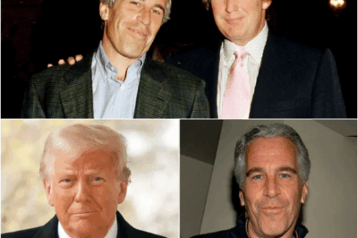 “AND HE PULLED THE TRIGGER…” — Trump SH0CKS Washington With Sudden Order to Release Epstein Files