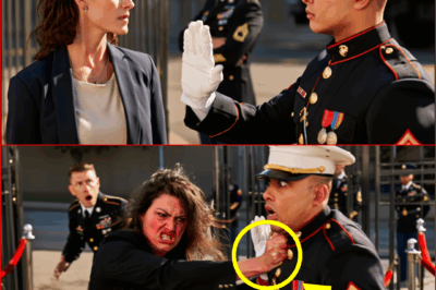 Rookie Blocks the Woman in Blazer from Entering the Base — Then the Admiral Explodes, the Whole Squad Frozen in Sh0ck