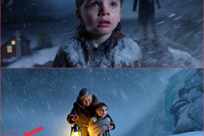 The Boy Was Mercilessly Abused by His Cruel Stepmother… But That Night, Her Price Came Due