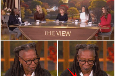 Whoopi Goldberg faces producer warning after Trump joke, future on The View uncertain