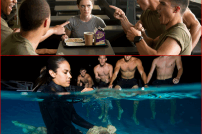 Four Recruits Walked into a Mess Hall Bullying — Then Realized the Girl They Targeted Was a Navy SEAL