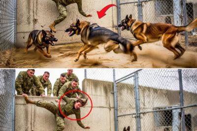 “Mocked and Thrown to Starving K9s, They Had No Idea She Was…