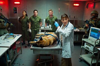 The Dog They Called “Too Far Gone”: How Six Quiet Words Brought a Combat K9 Back From the Edge