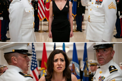 USMC Captain’s “Rank” Joke Backfires Spectacularly – Woman’s “Brigadier General” Reveal Leaves Room in Total Sh0ck!