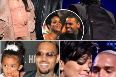 Chris Brown’s Reported Reaction ST.U.NS Fans — His Brief but Jaw-Dropping Response to Rihanna’s Third Baby News