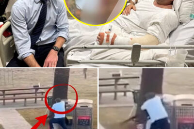 Bondi Hero Ahmed al-Ahmed Reflects on 14 December Sydney Attack — What He Reveals Next Is Haunting