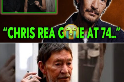 Chris Rea’s Final Video: The Quiet Message That Made Fans Rethink Life, Music, and Legacy