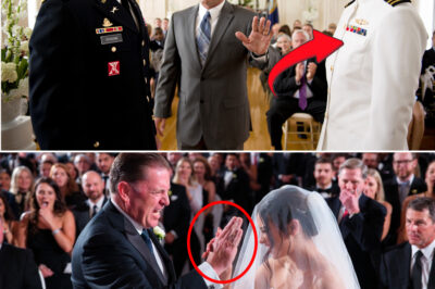 “You’re Worthless!” Rich Father Humiliates Bride in Front of Crowd – Epic Moment Her Elite SEAL Fiancé Seizes His Arm and Ends It