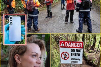 “THEY WERE SO CLOSE” — Search for Missing Backpacker Celine Cremer Suspended in Tasmania’s Remote Rainforest After Breakthrough Discoveries Raise Hope and Heartbreak