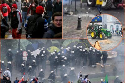 Another Blow to Farmers: Brussels Protests and UK Tax Backlash Highlight Growing Crisis in Agriculture Amid Net Zero Push!