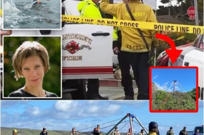 😱 RUMORS E-XPLODE: Possible Bd0y Found of Missing Swimmer Erica Fox — Community in SH0CK as Horrifying Shark Attack Fears Confirmed 💔🌊