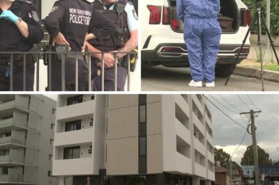 😱 END-OF-YEAR TRAGEDY: Police Launch Urgent Probe After Woman Found D-e:ad in Luxury Sydney Apartment — C-hilling New Details Emerge That Have Everyone Sh0cked!