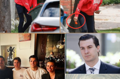 SHOCKING BEHIND BARS: “HE IS TREATED WELL BECAUSE OF HIS FAMILY’S STATUS..!” Prison Guard Reveals Tom Silvagni’s Life Since Sentencing — Australians Say “This Is Not Justice”!